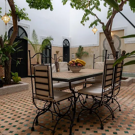 Riad Amegrad-2